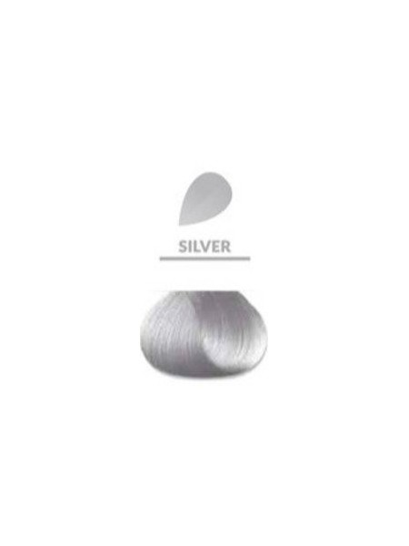 B&C SILVER SREBRNY FARBA 80ML ATECH SHOT 2