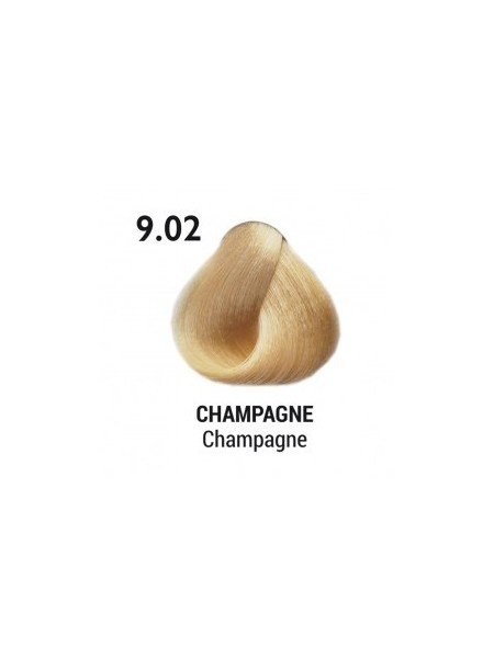 FARBA DO WŁOSÓW 9.02 - Champagne - Szampan 100ML EVELON PRO 2