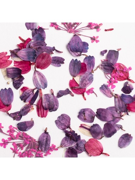 SUSZONE PŁATKI KWIATÓW FLOWER FLAKES WILD ORCHID SEMILAC