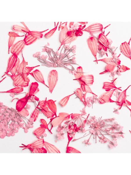 SUSZONE PŁATKI KWIATÓW FLOWER FLAKES CORAL BLOSSOM SEMILAC