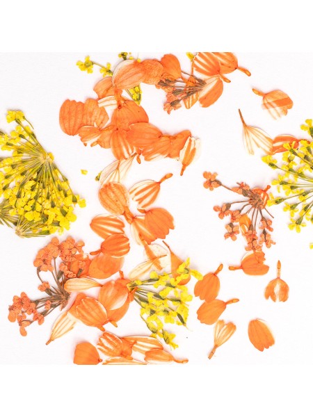 SUSZONE PŁATKI KWIATÓW FLOWER FLAKES GOLDEN SUNSET SEMILAC 2